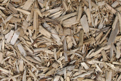 biomass boilers Trefor