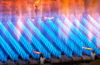 Trefor gas fired boilers